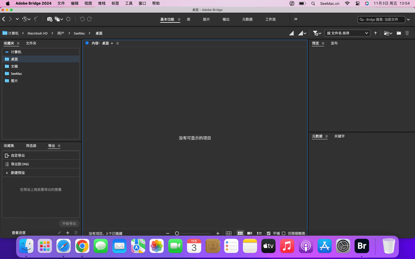 Adobe Bridge 2024 v14.0.1.137 download the new for mac
